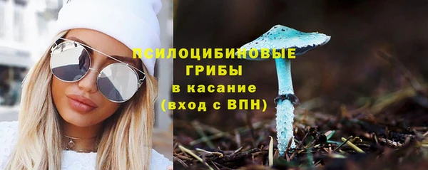 гидра Зерноград