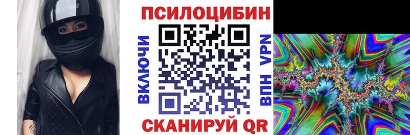 Купить  Красавино  Псилоцибиновые грибы Cubensis 